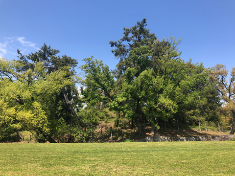 tatsusayama