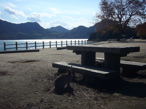 L1070878