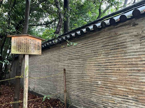 IMG_3414