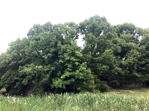 unnamed (3)