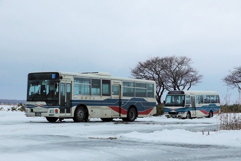 1A7A6493