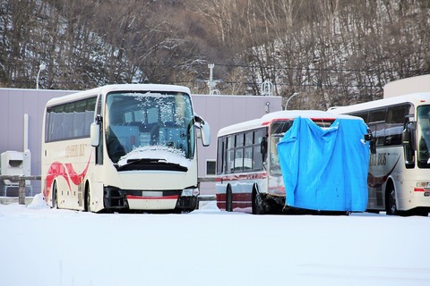 1A7A4949