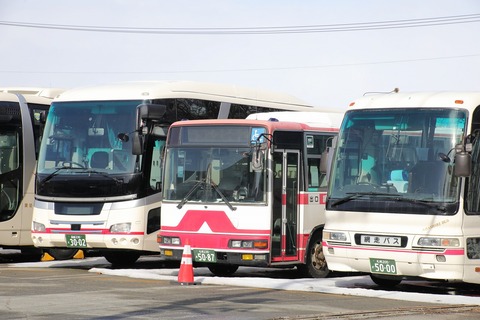 1A7A4337