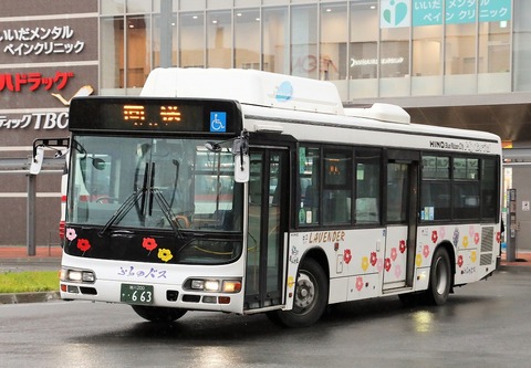1A7A0634