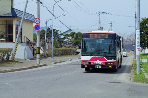 IMGP8698