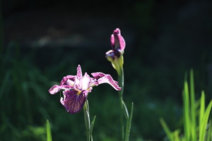 506A6844