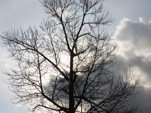 DSCN8350