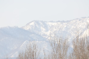 506A2734