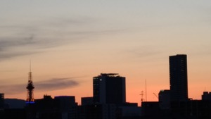 P_20190602_191700_vHDR_Auto