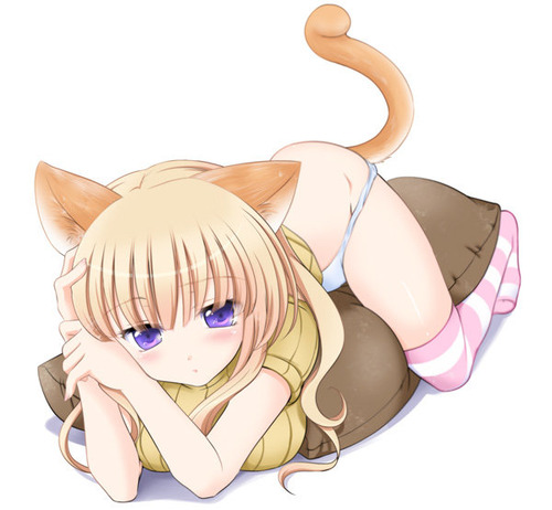 neko1