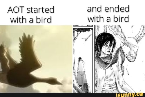 2ec6481ca64c7f57b1af88db8f6e9b625