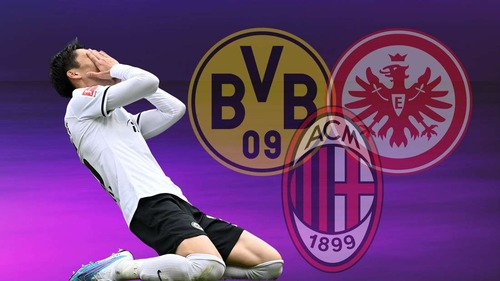 32316433-bvb