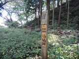 17e12365.jpg