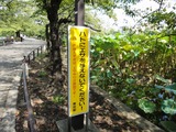 8f2ca056.jpg