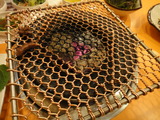 cd088044.jpg