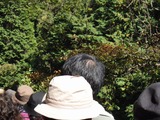 ff9278af.jpg