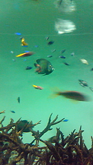 葛西臨海水族館