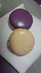 ケーキとマカロンとうさぎ