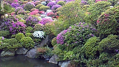 上野動物園と根津神社