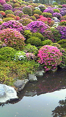 上野動物園と根津神社