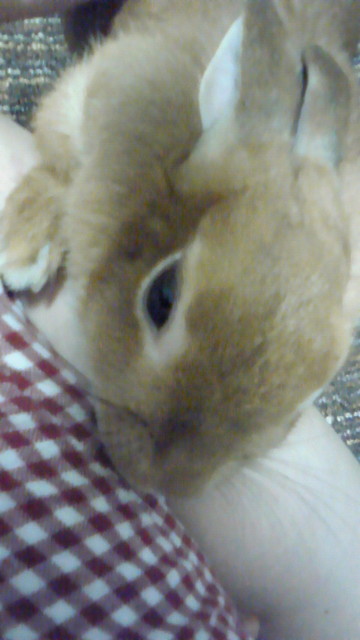 201205260118000