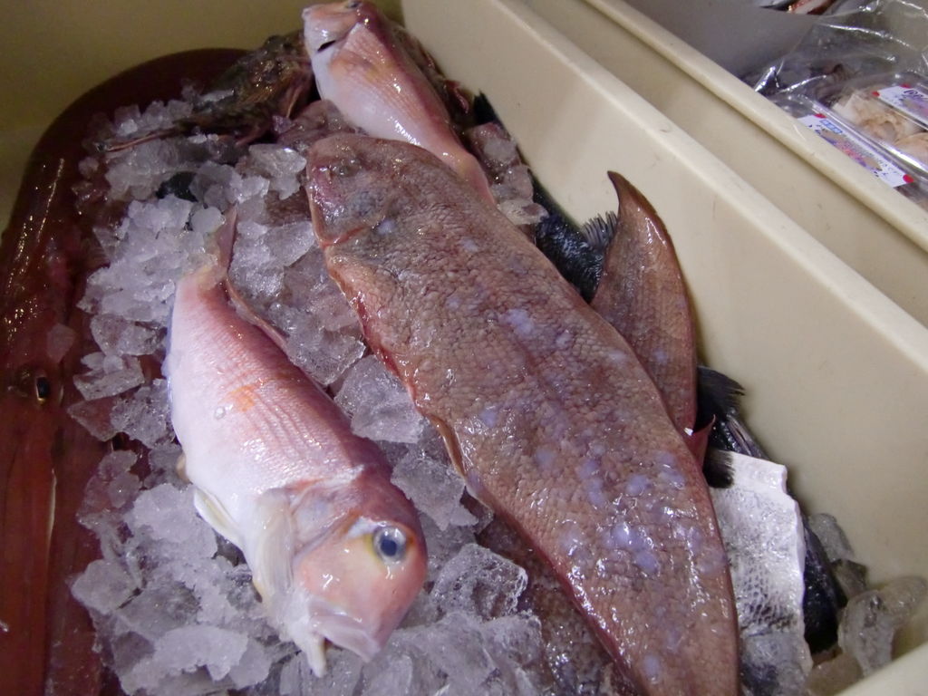 淡路産赤舌平目 Pappaのお魚ブログ 淡路産赤舌平目 Pappaのお魚ブログ