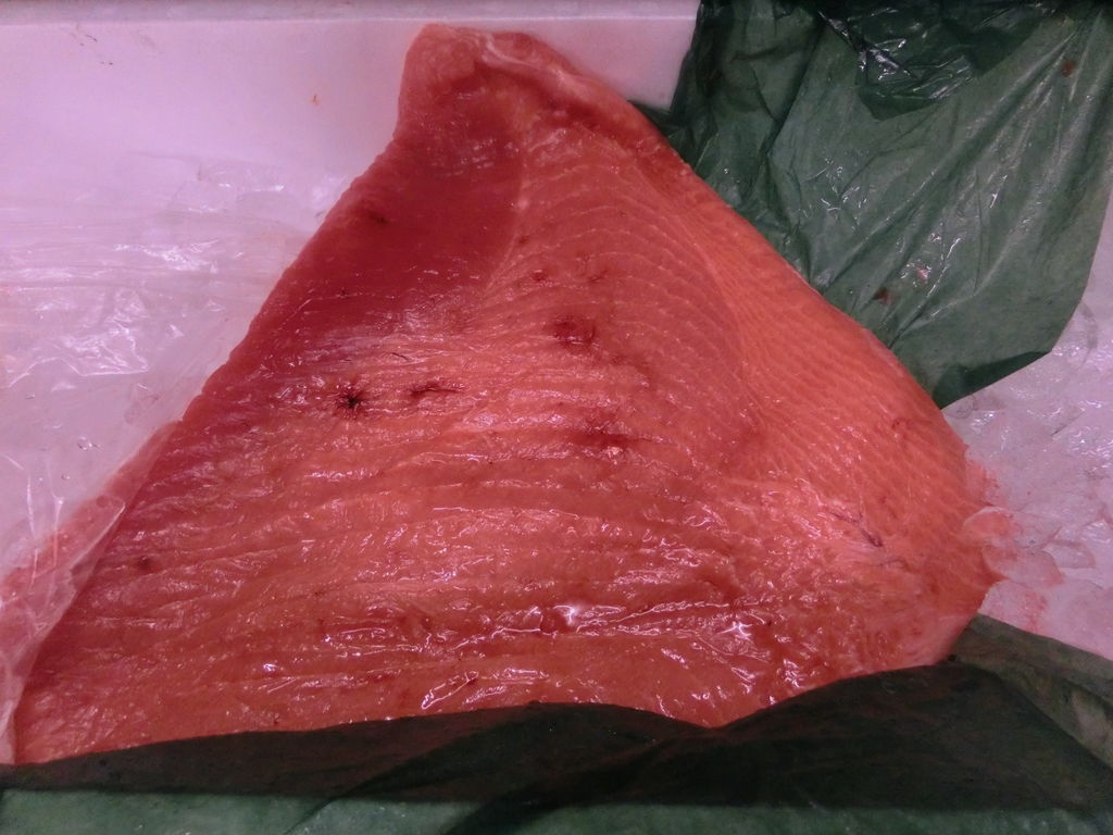 和歌山新宮産 赤マンボウ Pappaのお魚ブログ 和歌山新宮産 赤マンボウ Pappaのお魚ブログ