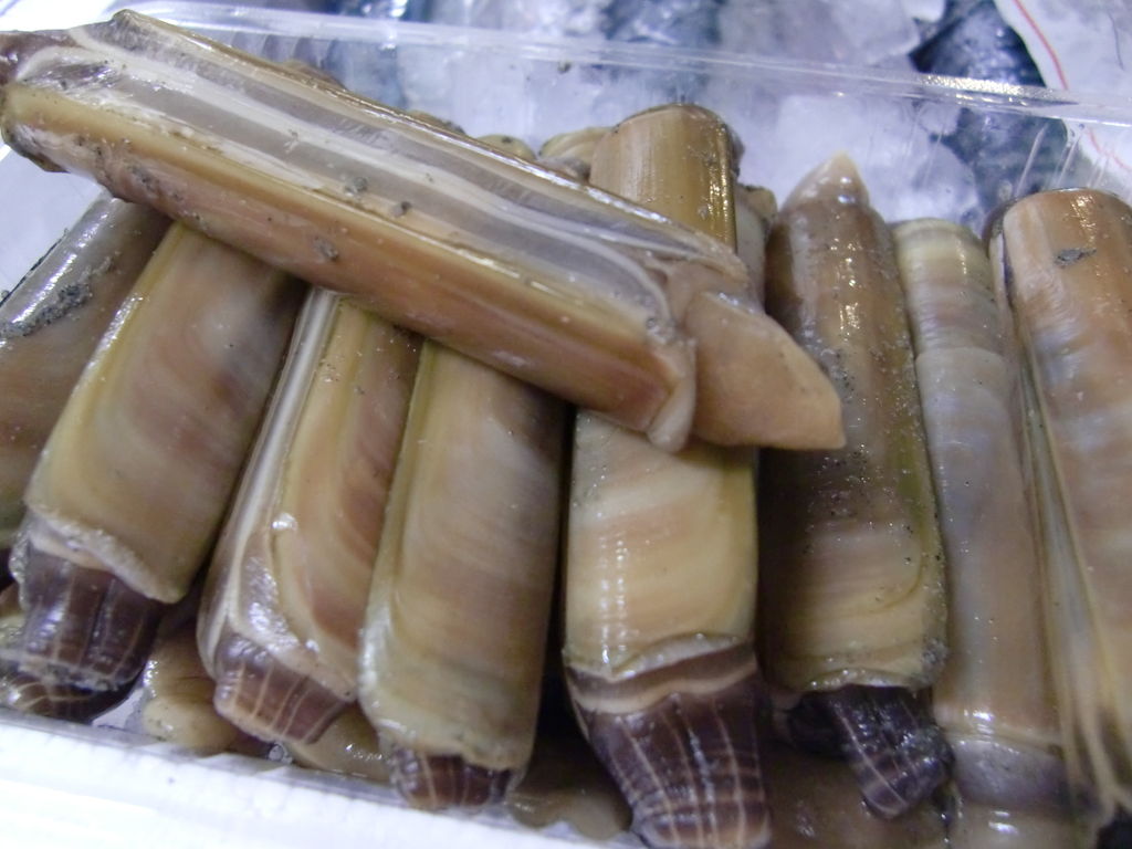 山口県産マテ貝と長崎五島列島産太刀魚 Pappaのお魚ブログ 山口県産マテ貝と長崎五島列島産太刀魚 Pappaのお魚ブログ