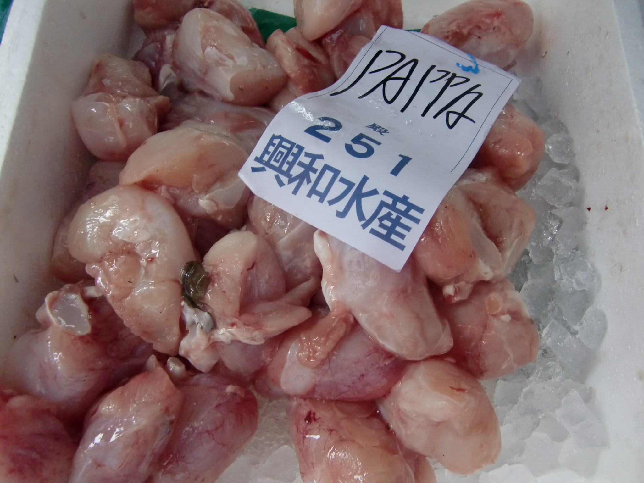 北海道産ガンギエイ かすべ のほっぺ Pappaのお魚ブログ