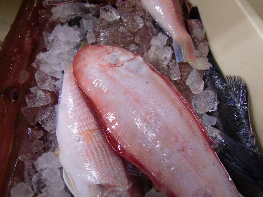 淡路産赤舌平目 Pappaのお魚ブログ 淡路産赤舌平目 Pappaのお魚ブログ