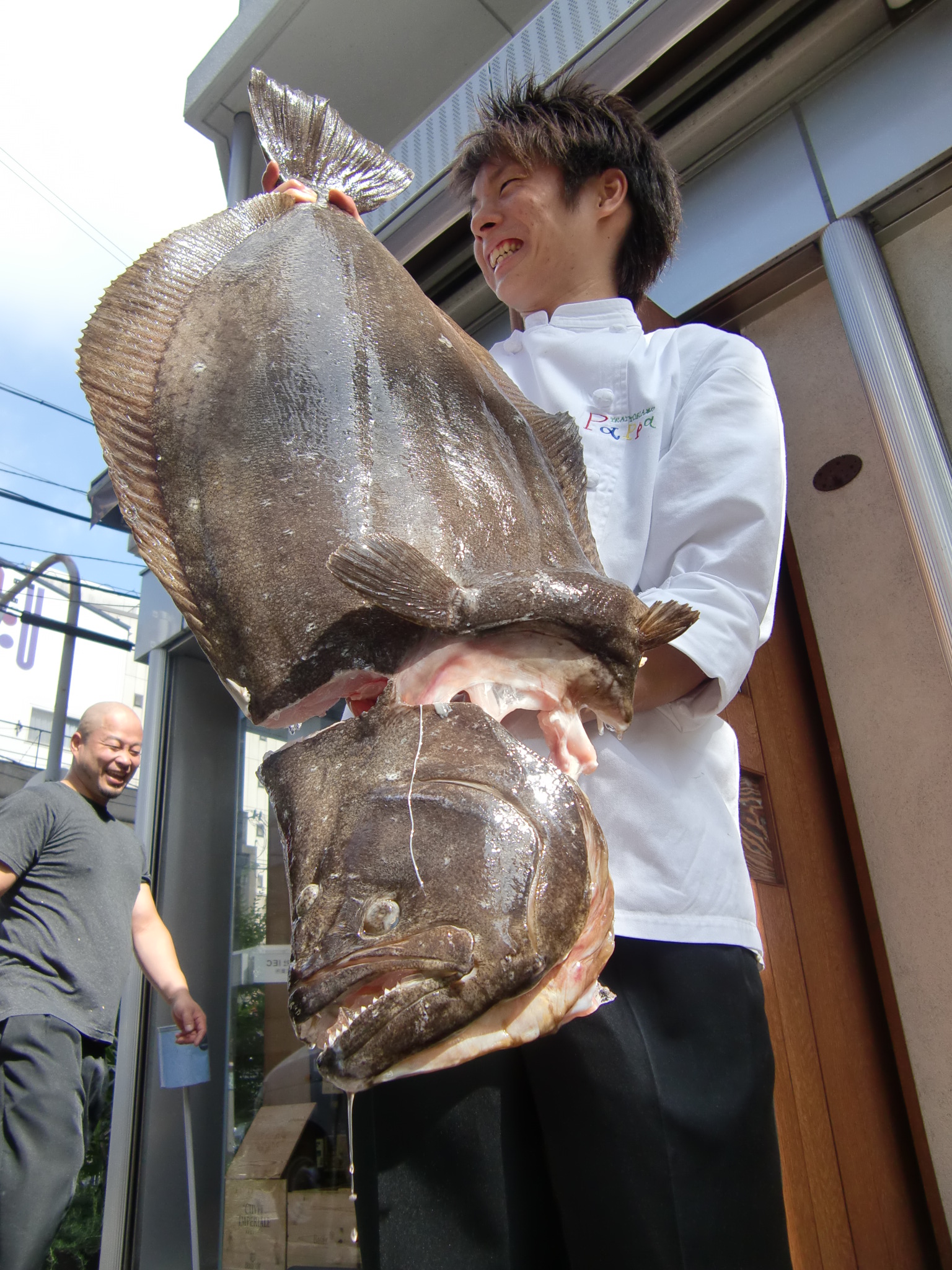 北海道産デッカイ天然平目12 5kg Pappaのお魚ブログ 北海道産デッカイ天然平目12 5kg Pappaのお魚ブログ