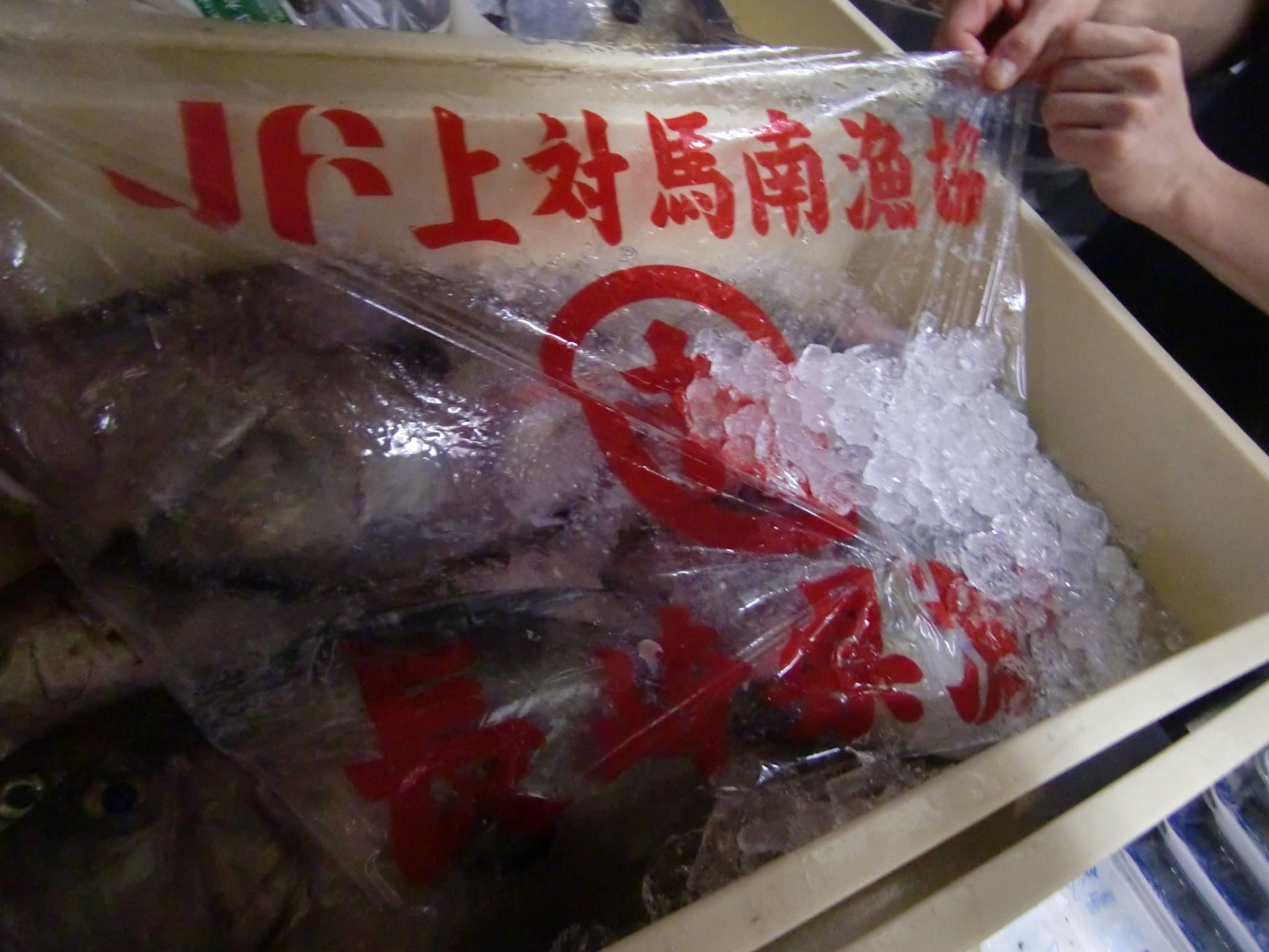 長崎産まとうだい Pappaのお魚ブログ