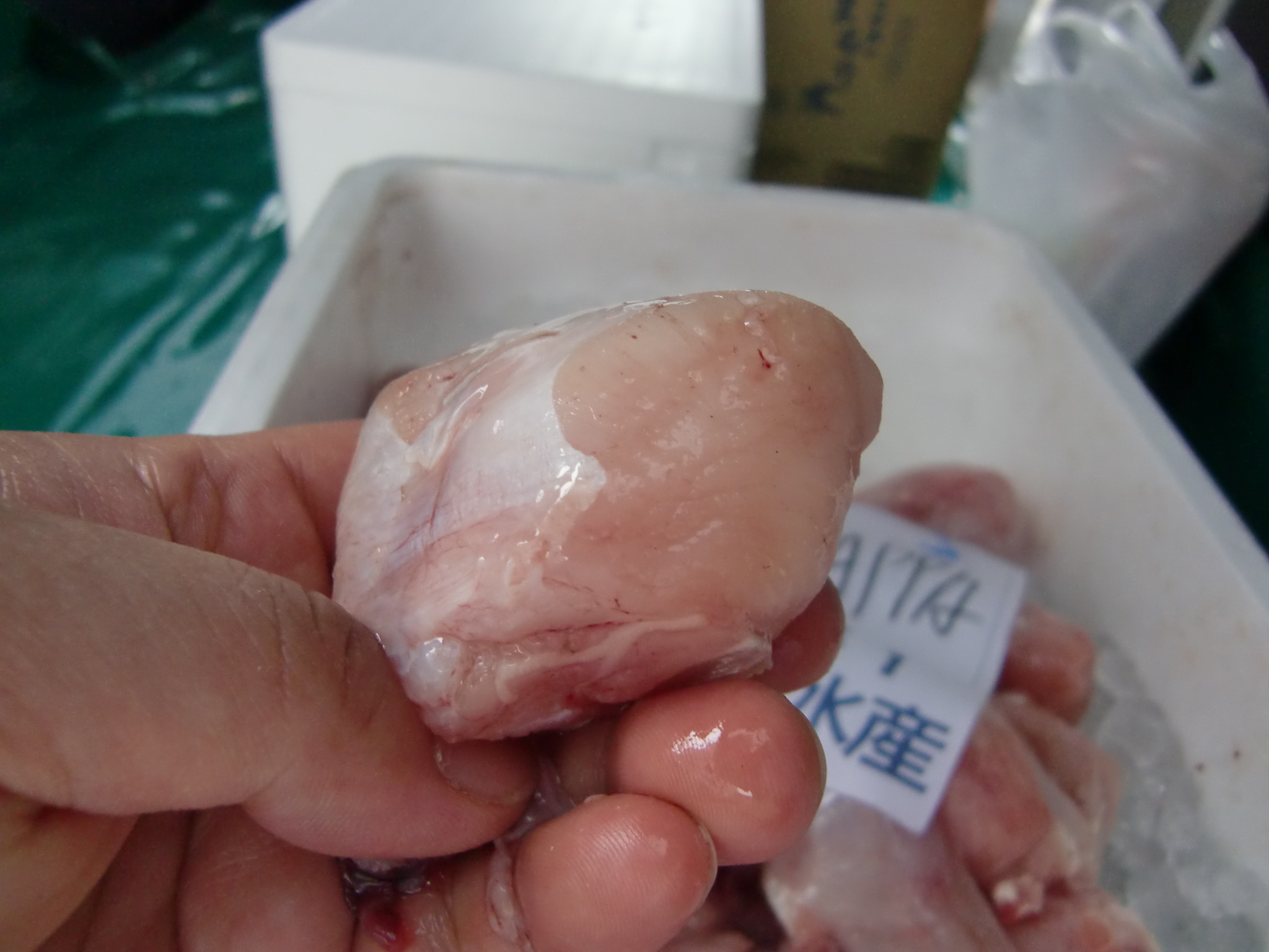 北海道産ガンギエイ かすべ のほっぺ Pappaのお魚ブログ