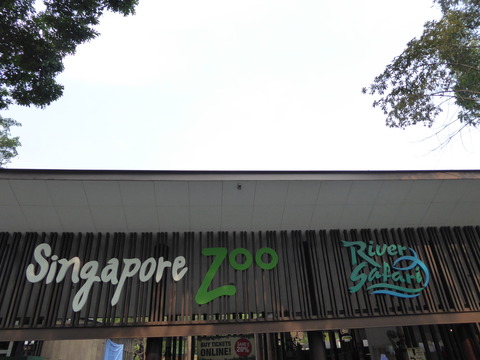 Singapore zoo