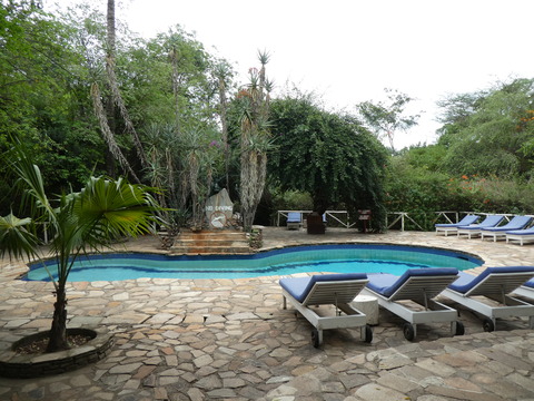 Fig Tree Camp (12)