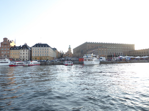 Royal Canal Cruise (74)