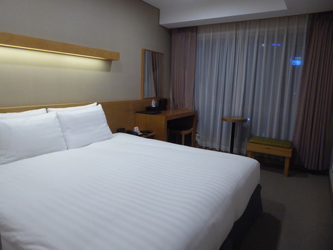 Namsan City Hotel (1)