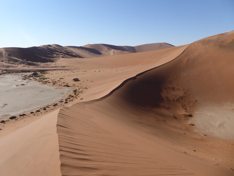 ナミブ砂漠 15