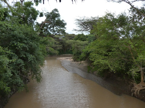 Fig Tree Camp (2)