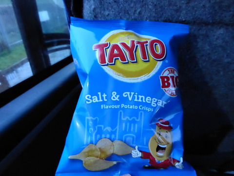 TAYTO (2)