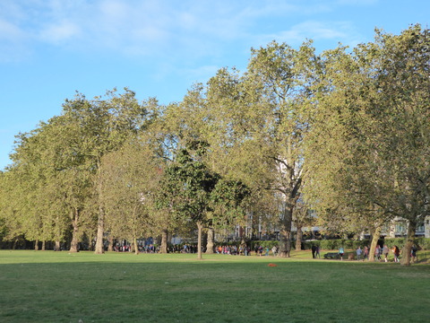 Green Park2