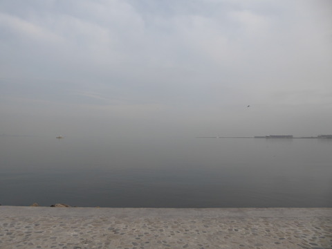 海岸公園(5)