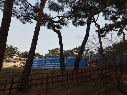 宣陵4 貞顕王后陵3