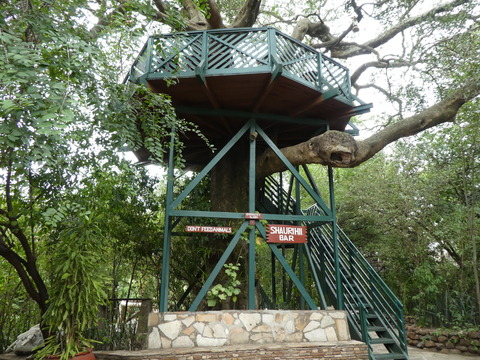 Fig Tree Camp (9)