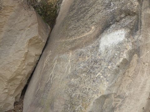 Gobstan Rock Art (10)