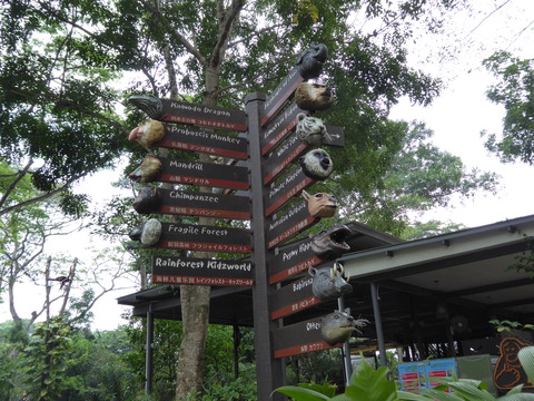 Singapore zoo8