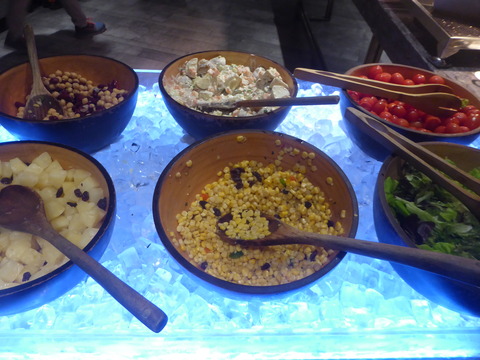 Plaza Plemium Lounge (11)