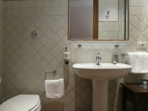 Aenea Superior Inn (5)