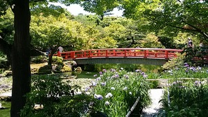 IMG_20170605_121959