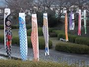 CIMG0321